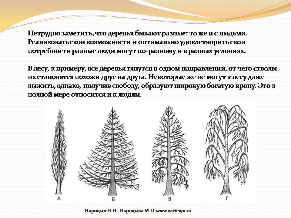 «Качество жизни» - слайд №18